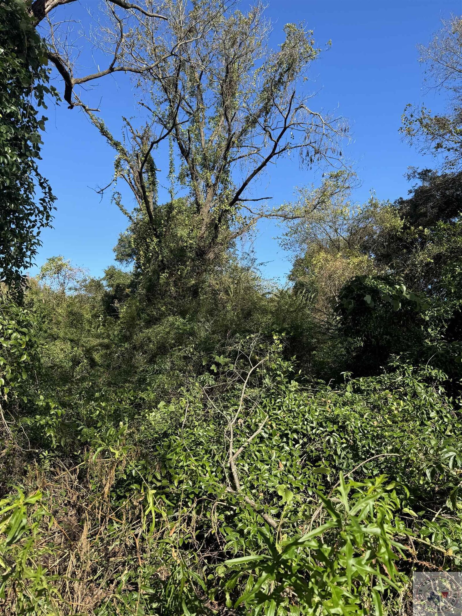 Property Photo:  0 Tbd2 Capp  TX 75501 