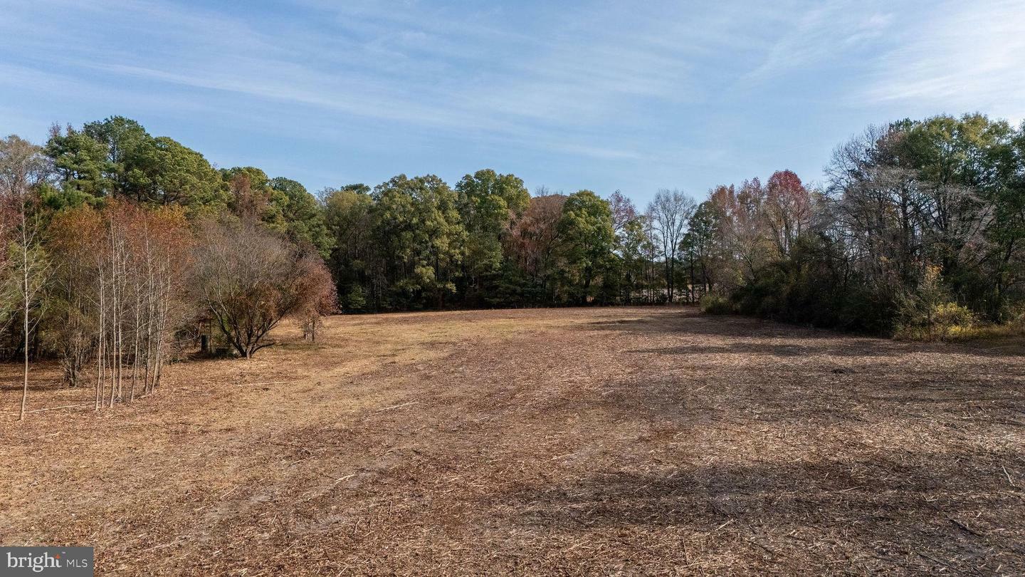 Property Photo: 4468 Deep Grass Lane DE 19954