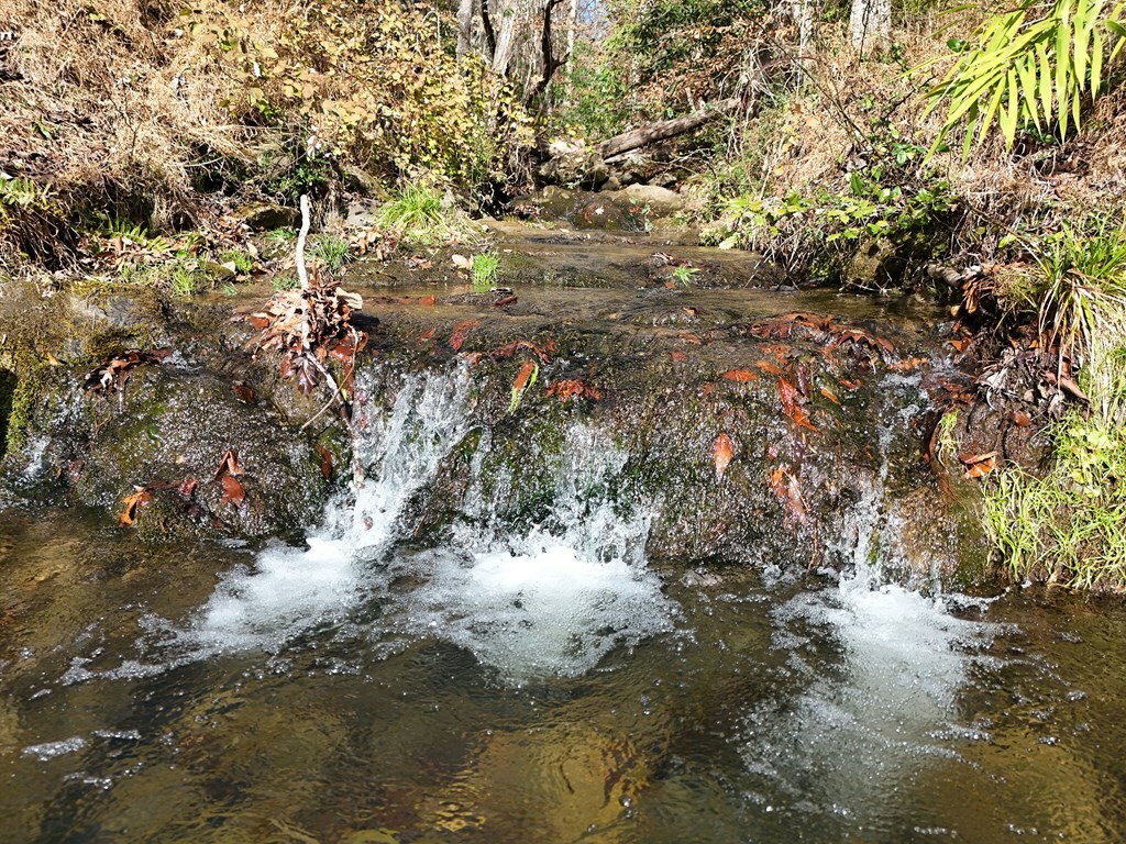 Property Photo:  902 Deitz Cable Road  NC 28909 