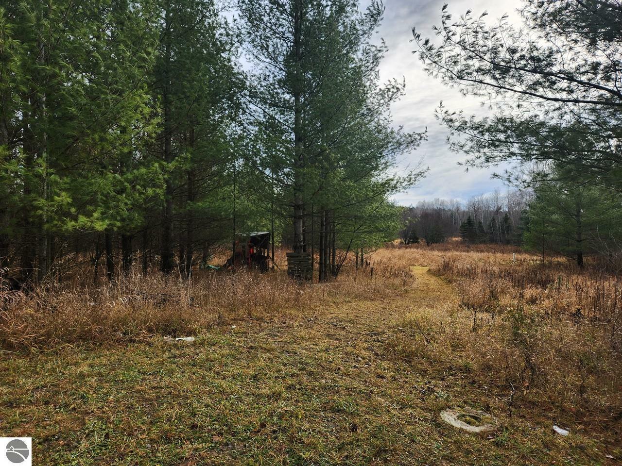 Property Photo:  6473 Maplehill Road  MI 49633 