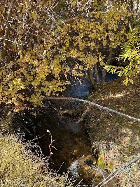 Property Photo:  700 Davis Meadow Trail  NV 89010 