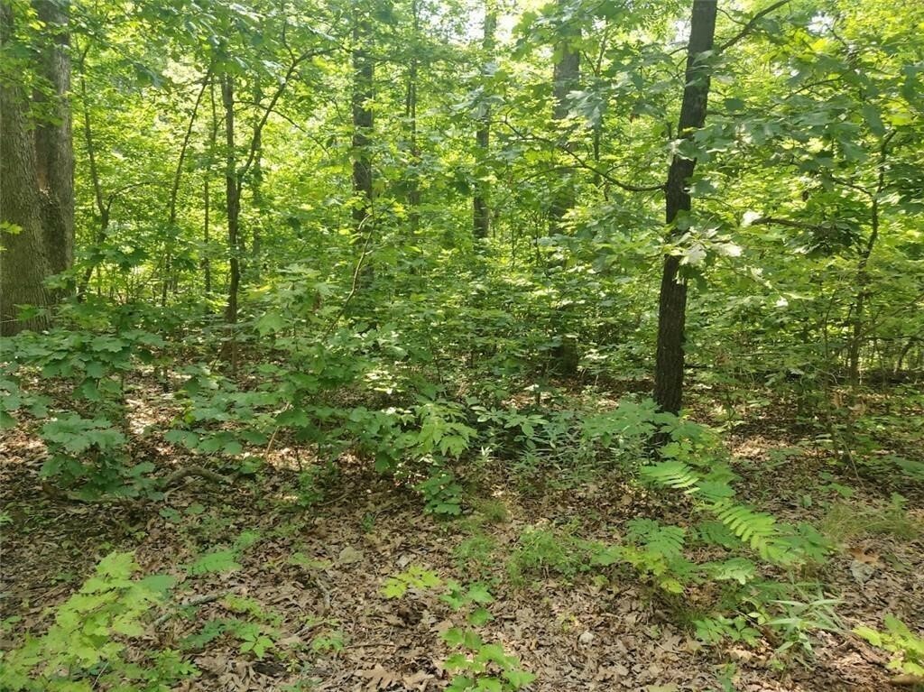 Property Photo:  Lot 1 Leith Lane  AR 72715 