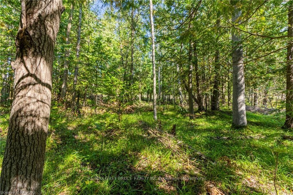 Property Photo:  Lot 36 Sauble Falls Pkwy  ON N0H 2T0 