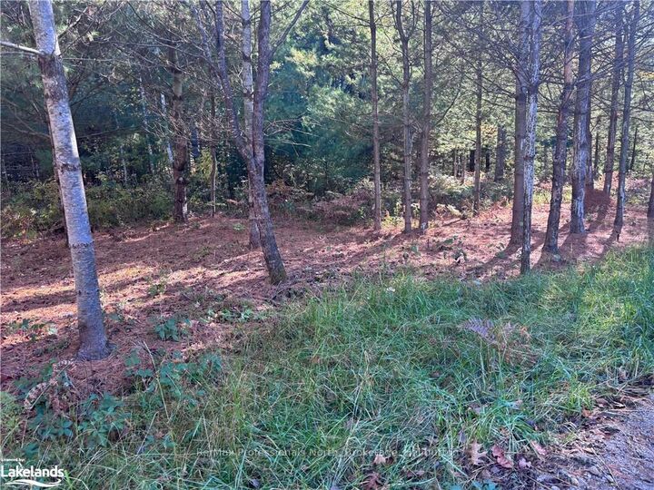 Property Photo: 1081 Hawk Valley Road ON K0M 1J2