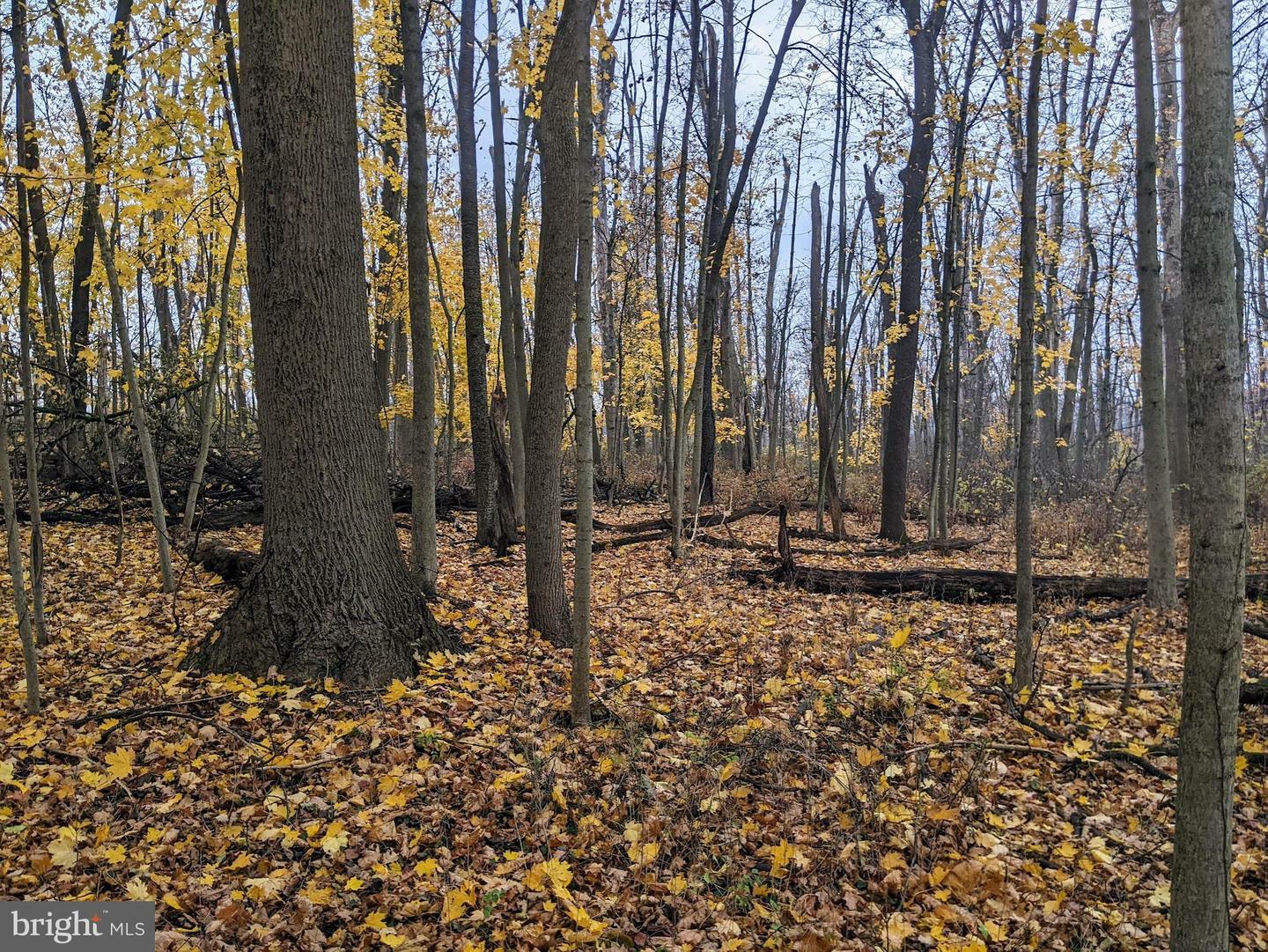 Property Photo:  876 W Cedarville Road  PA 19465 