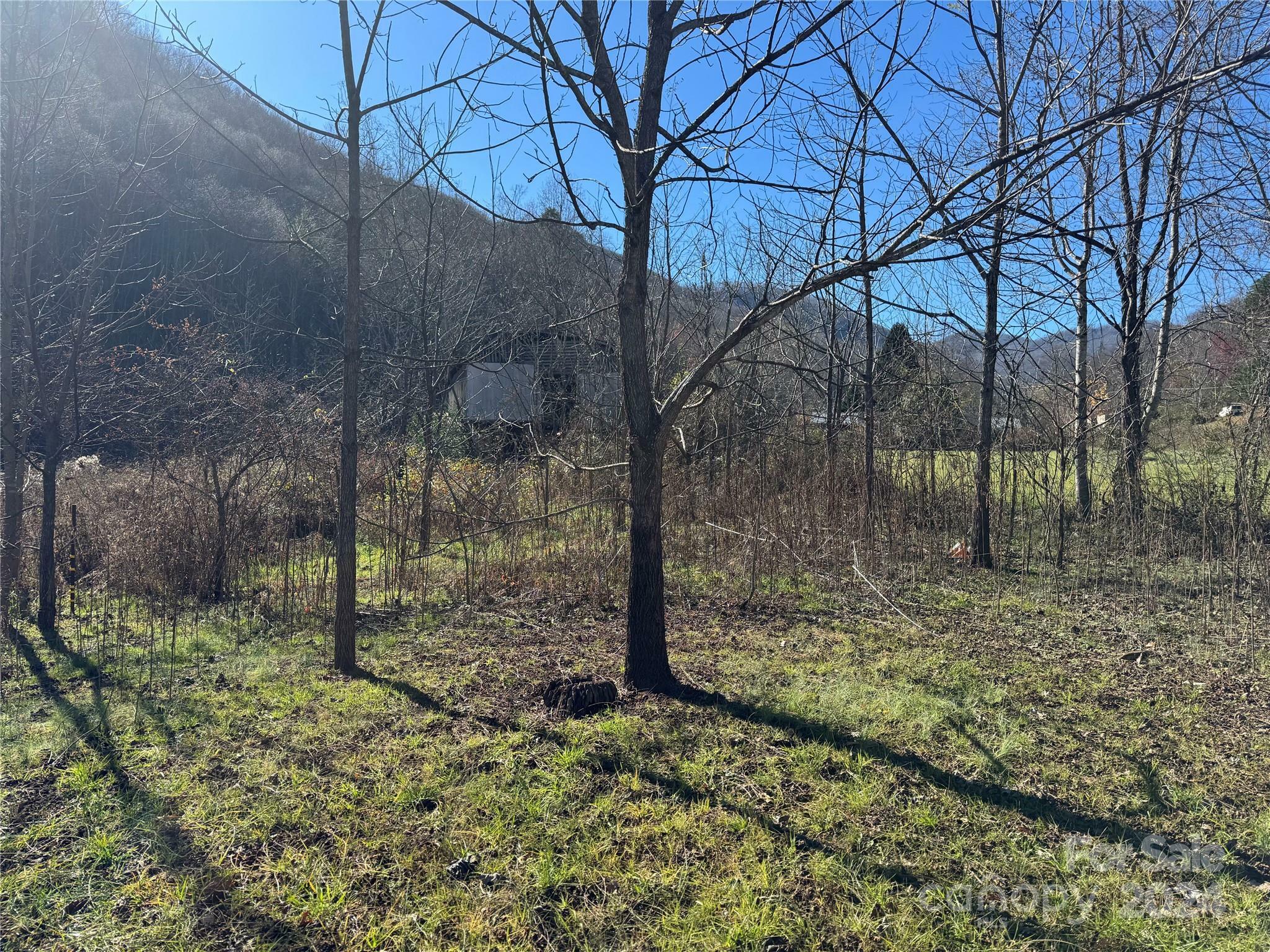 Property Photo:  303 Warren Creek Road  NC 28715 