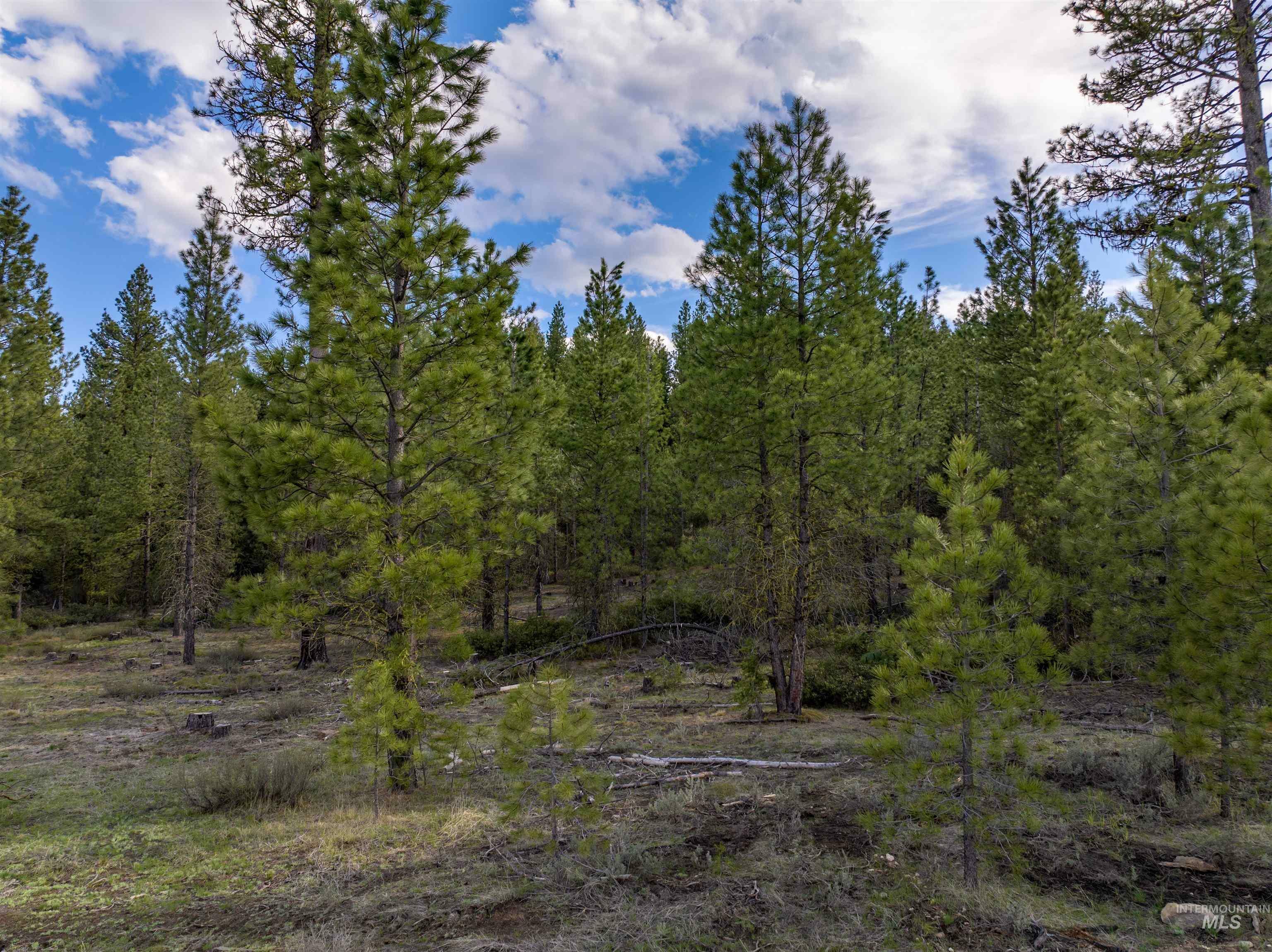 Property Photo:  Lot 19 Trail Creek Ct  ID 83631 