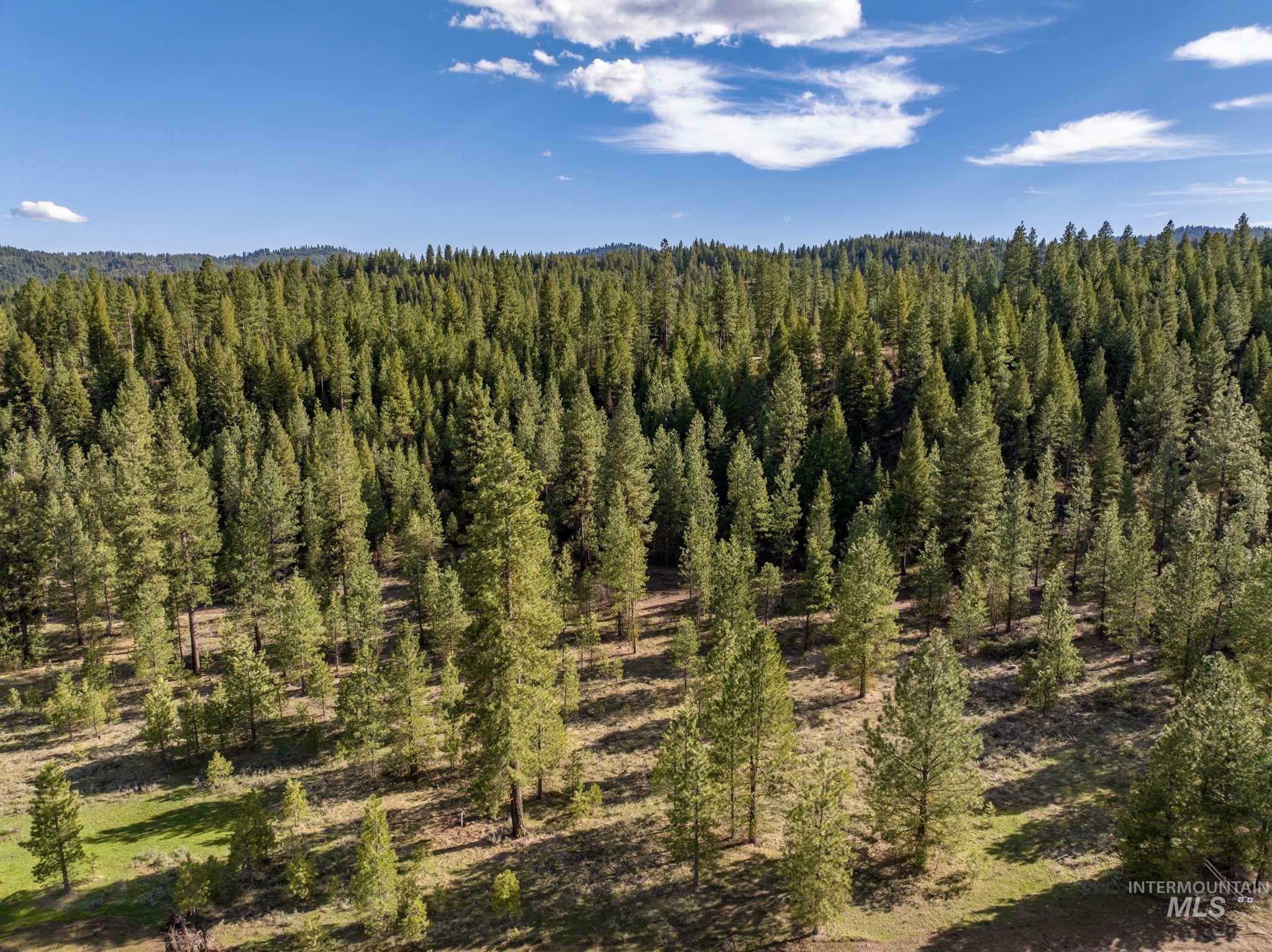 Property Photo: Lot 21 Trail Creek Ct ID 83631