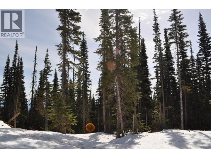 Property Photo:  12 Alpine Way Pst  BC V0J 2N0 