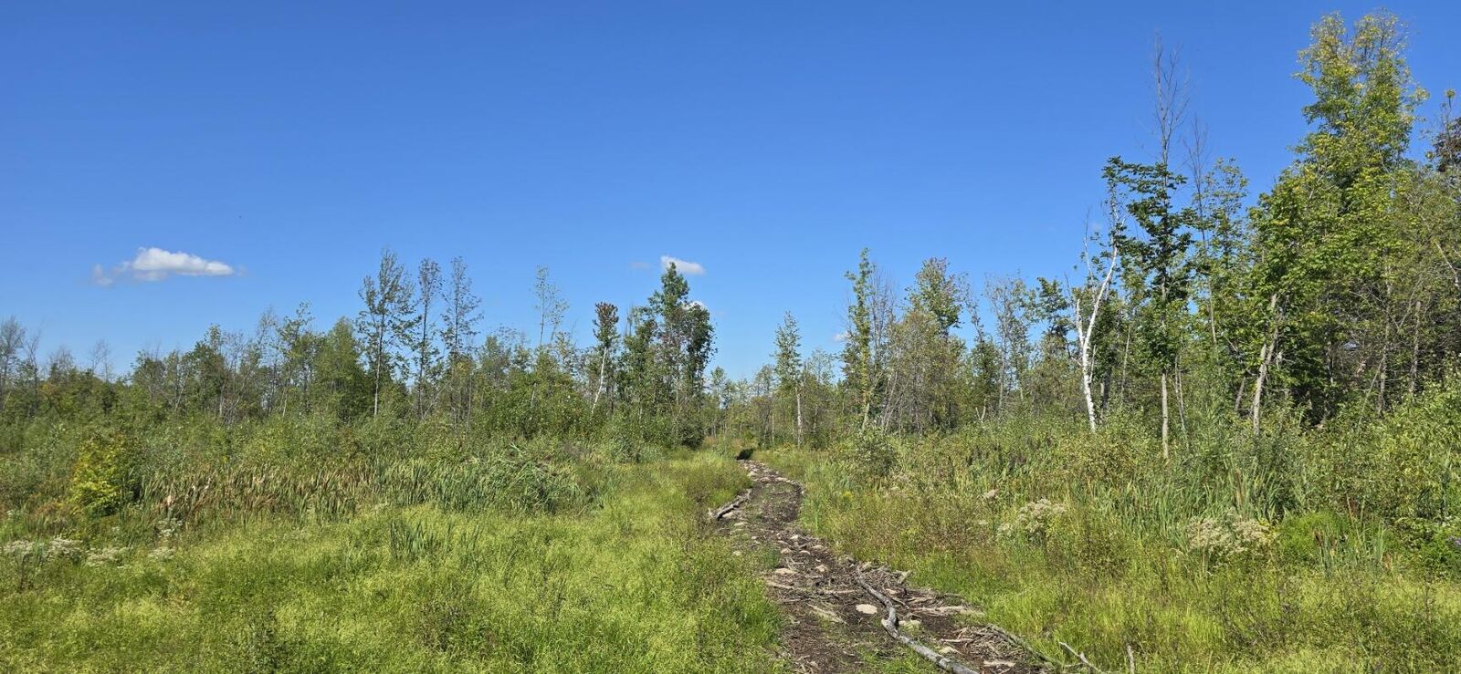Property Photo: 0 Constable Burke Town Line Road NY 12917