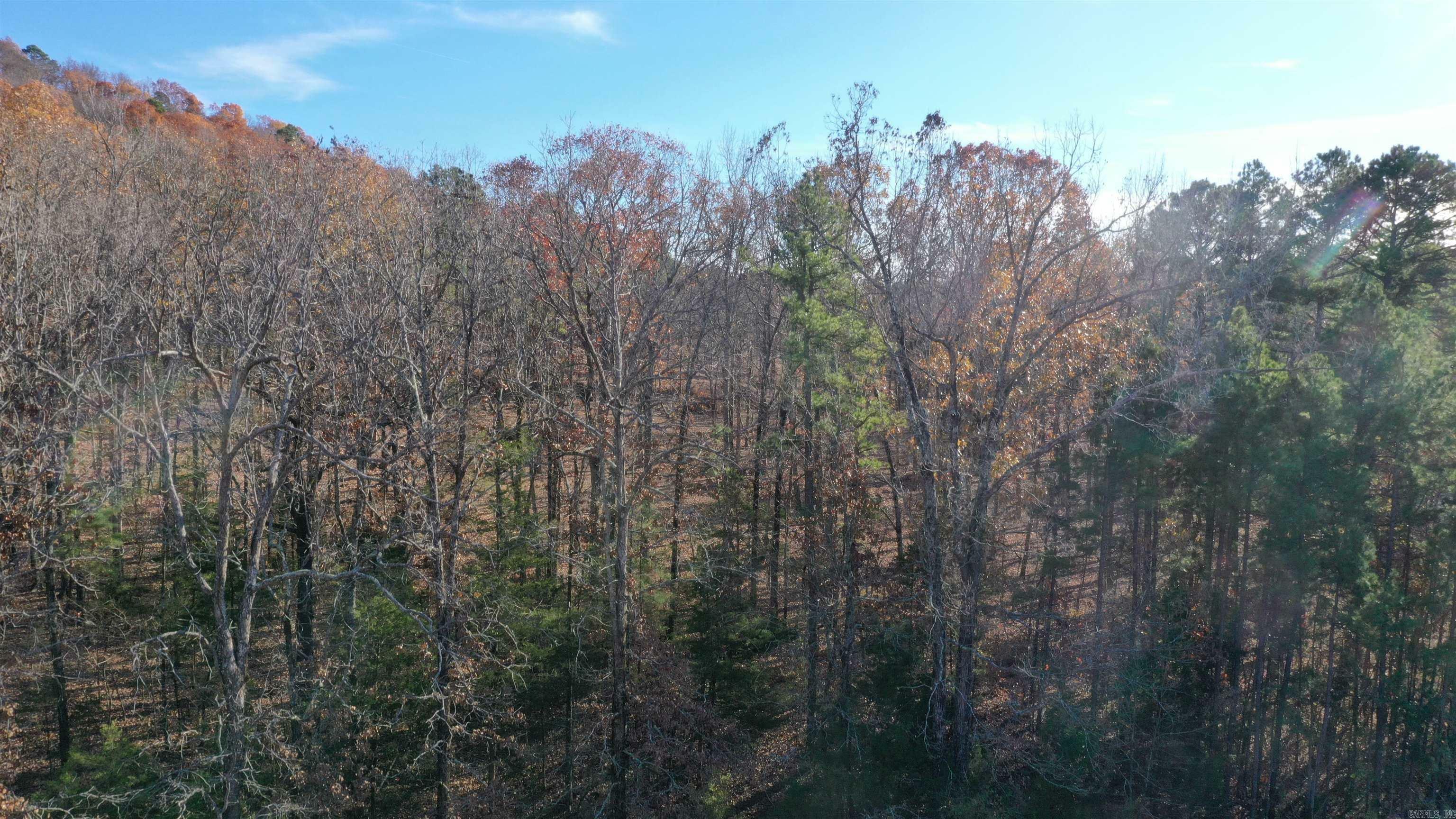 Property Photo:  Lot 2 Old Military Rd  AR 72034 