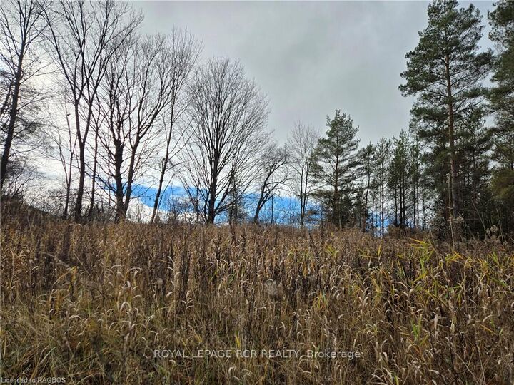 Property Photo: Lt 8 Ws Highway 6 N/A ON N0H 2V0