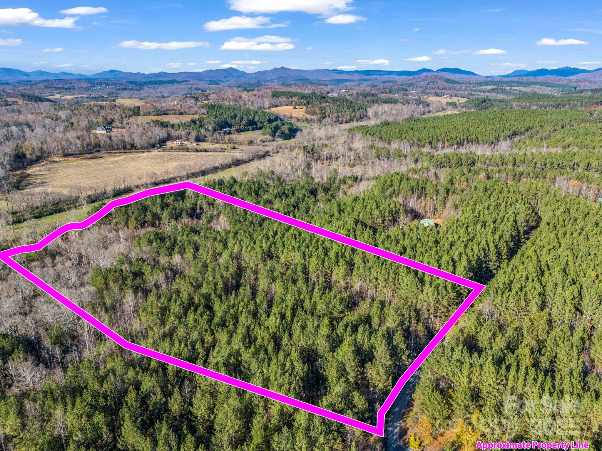 000 Farmer Johns Trail 9  Rutherfordton NC 28139 photo