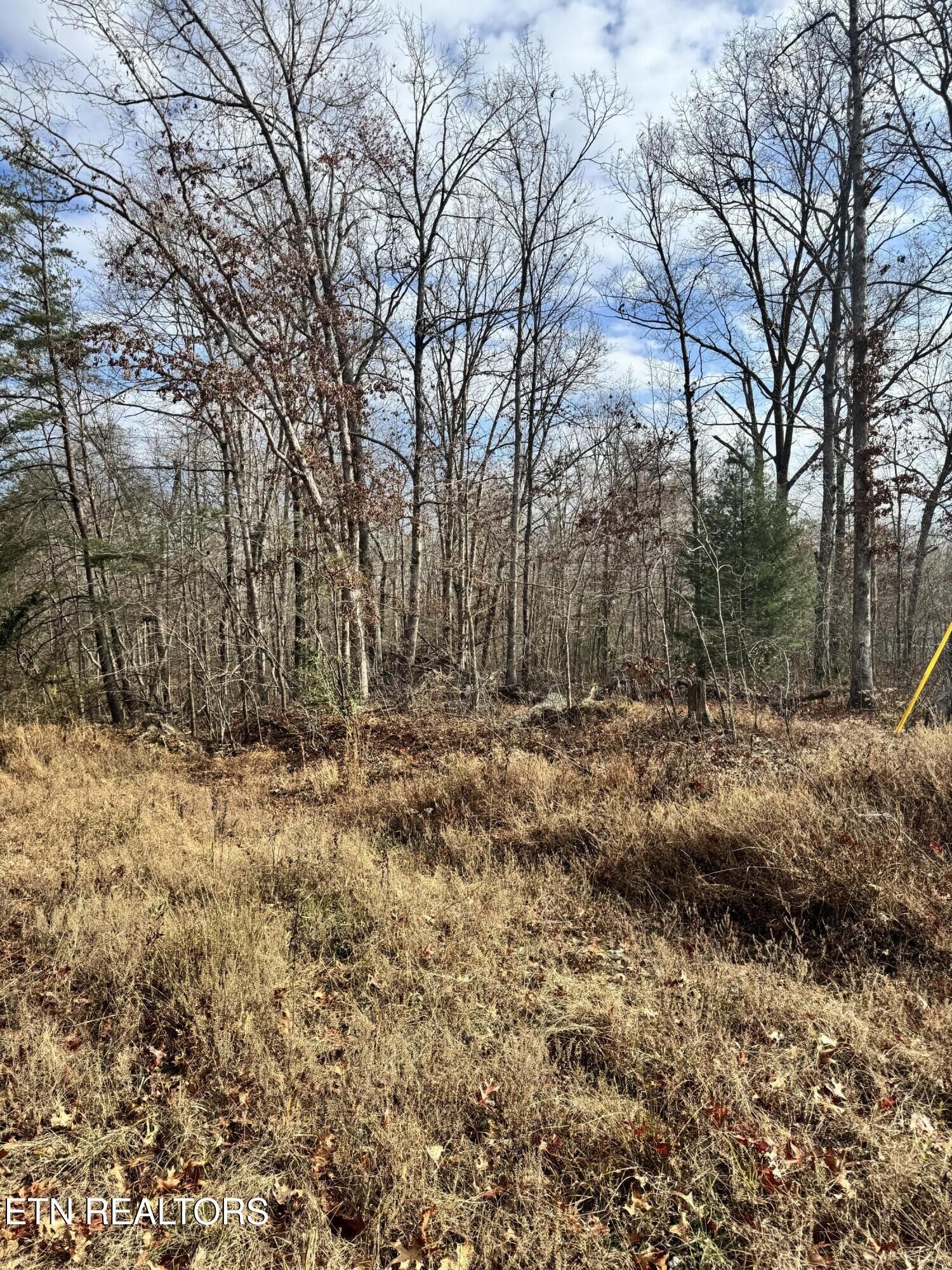 Property Photo:  Peachtree Drive  TN 38555 