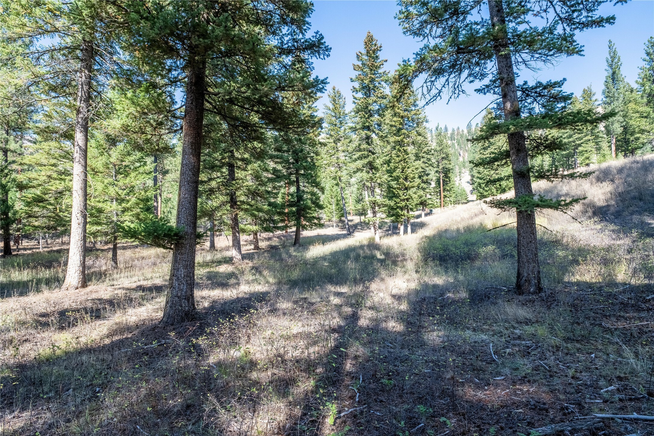 Property Photo:  Lot 17 Caddisfly Court  MT 59825 