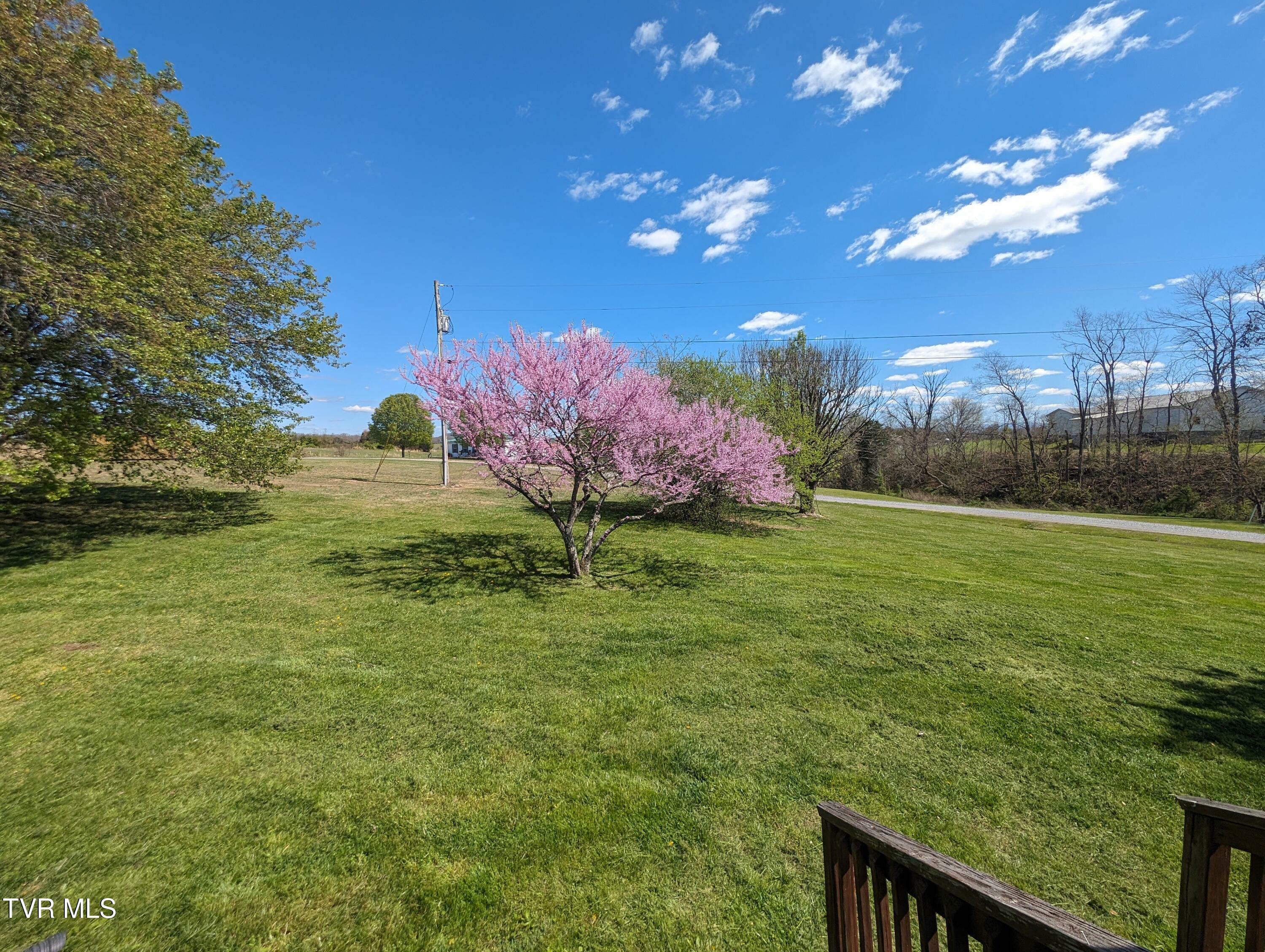 75 Fiesta Lane  Greeneville TN 37745 photo