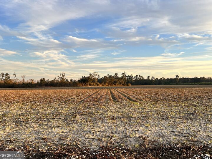 Property Photo: 0 W P Clifton Road GA 30415