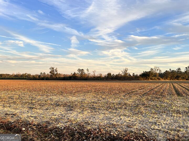 Property Photo:  0 W P Clifton Road  GA 30415
