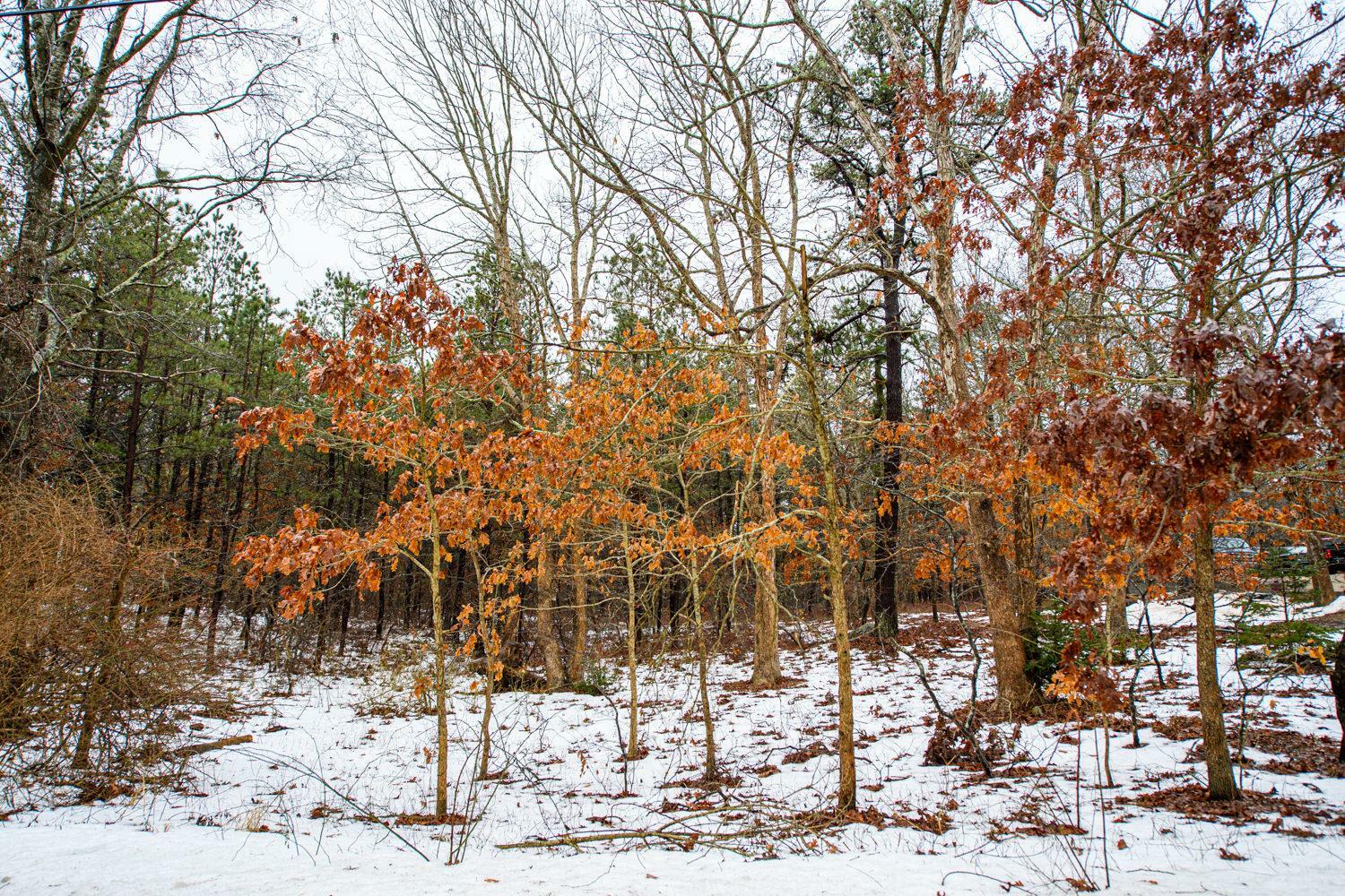 Property Photo: Elizabeth Way NY 11961