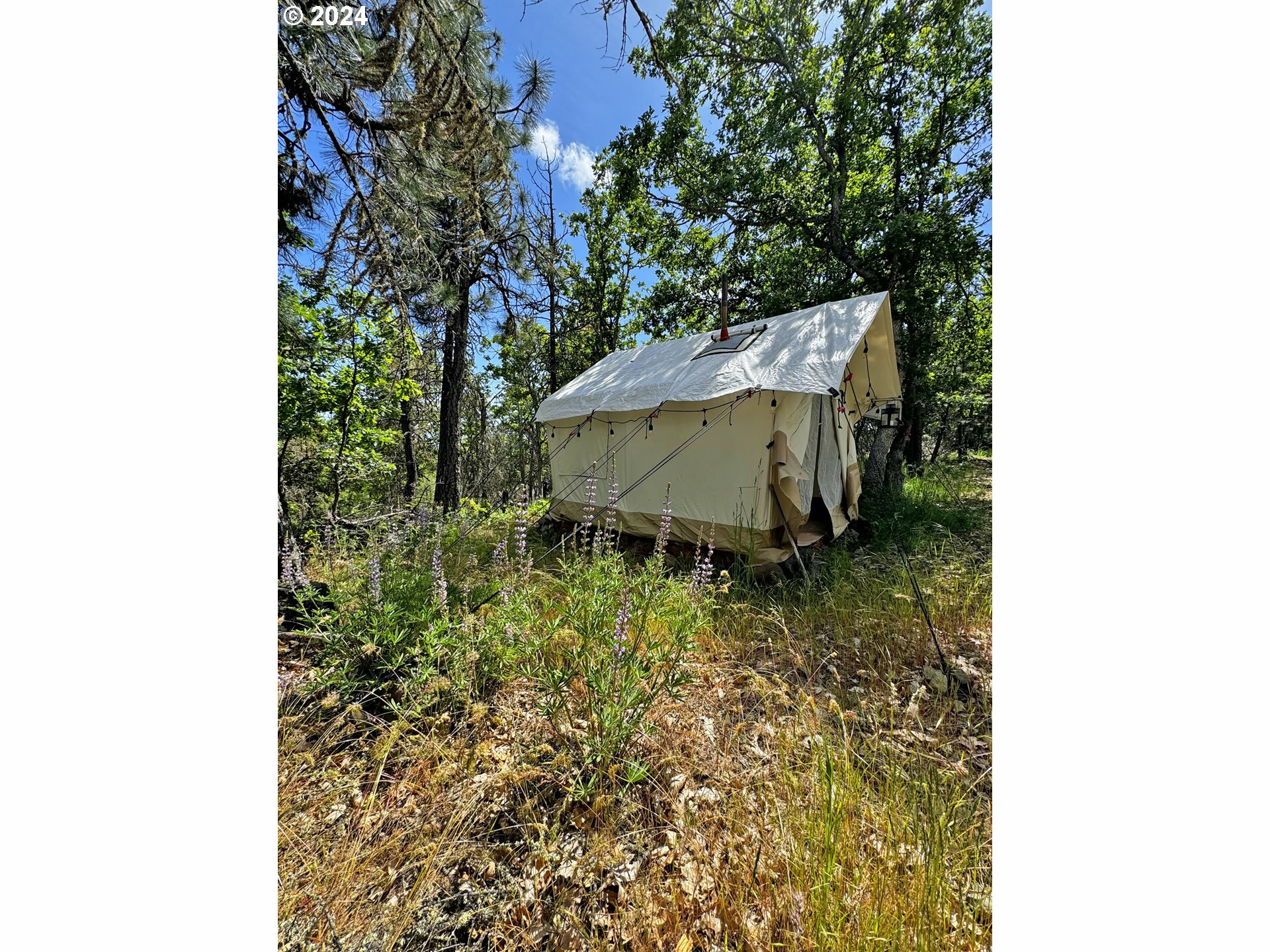 Property Photo:  54 W Ponderosa Dr  WA 98620 