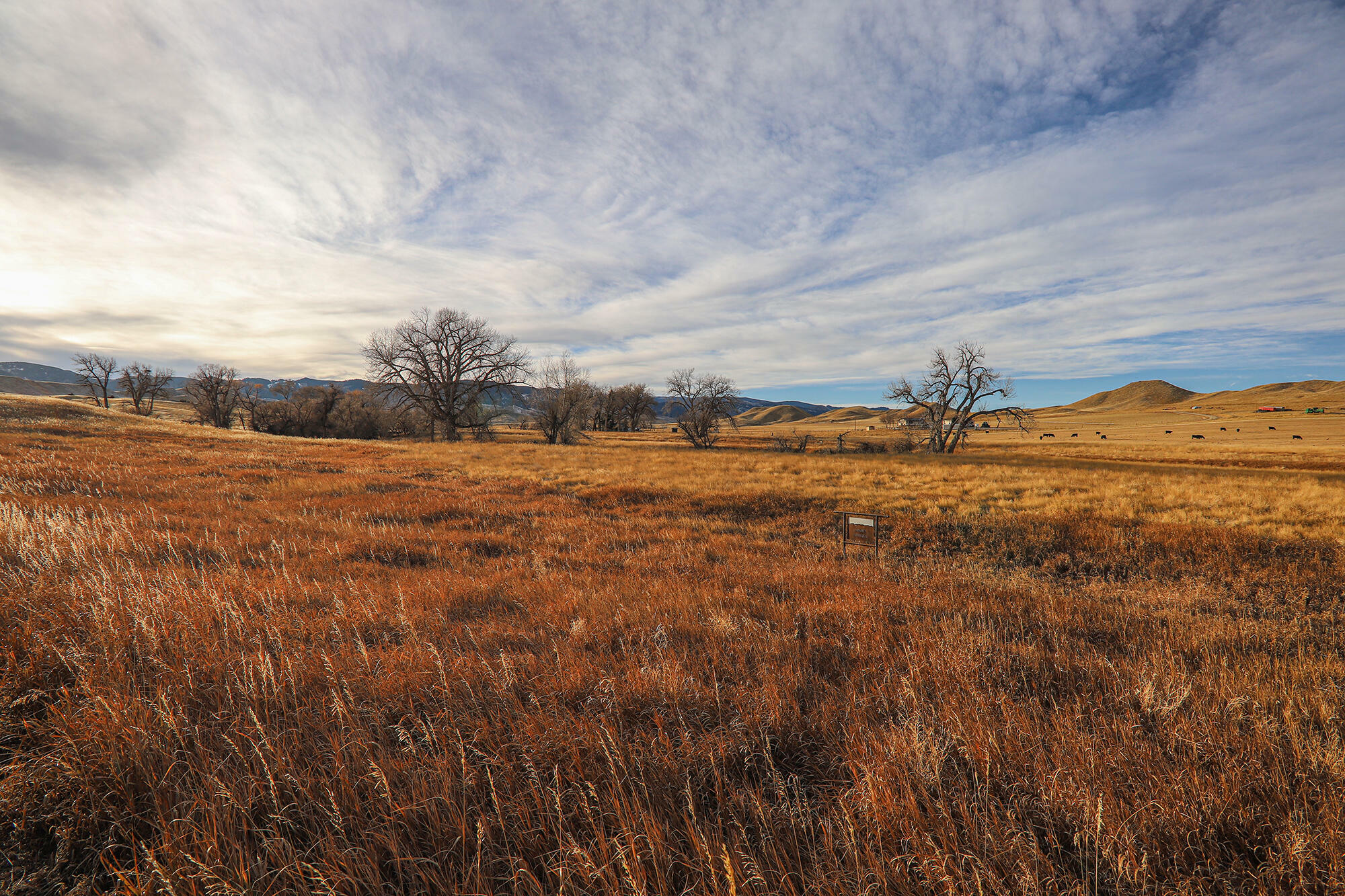 68 High Camp Lane  Buffalo WY 82834 photo