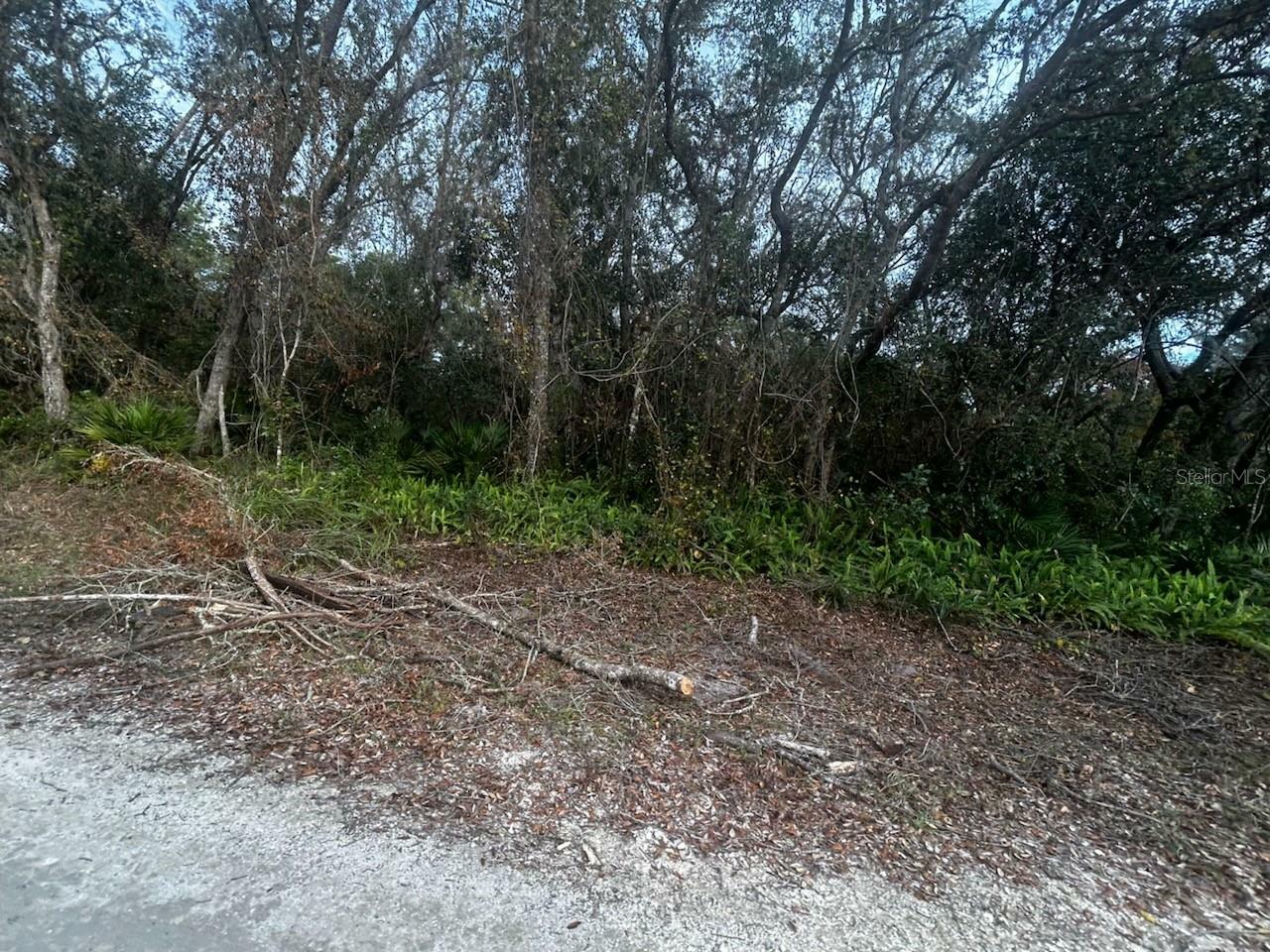 Property Photo:  6330 Mike Lane  FL 33597 