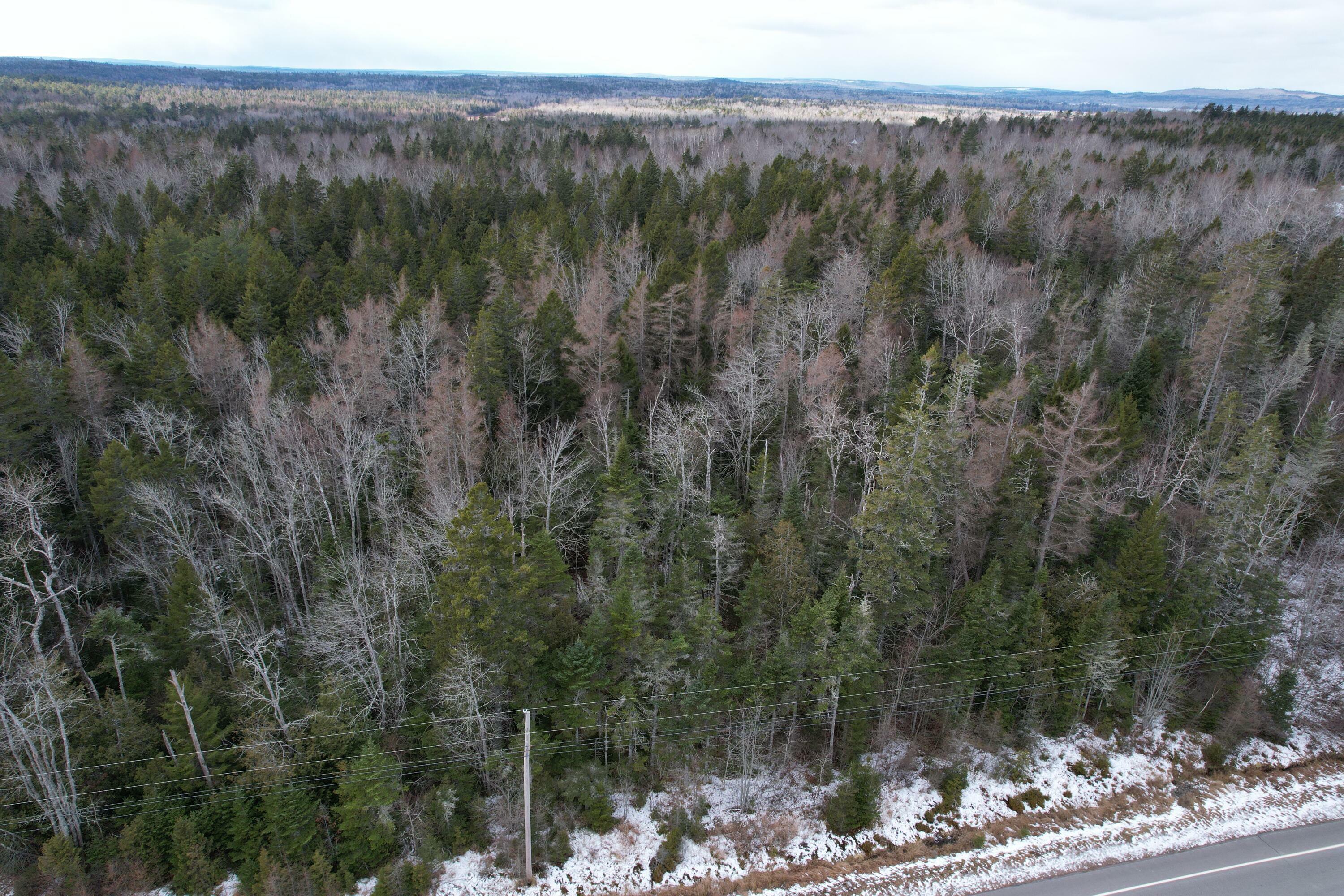 Property Photo:  Lot 51 US-1  ME 04667 