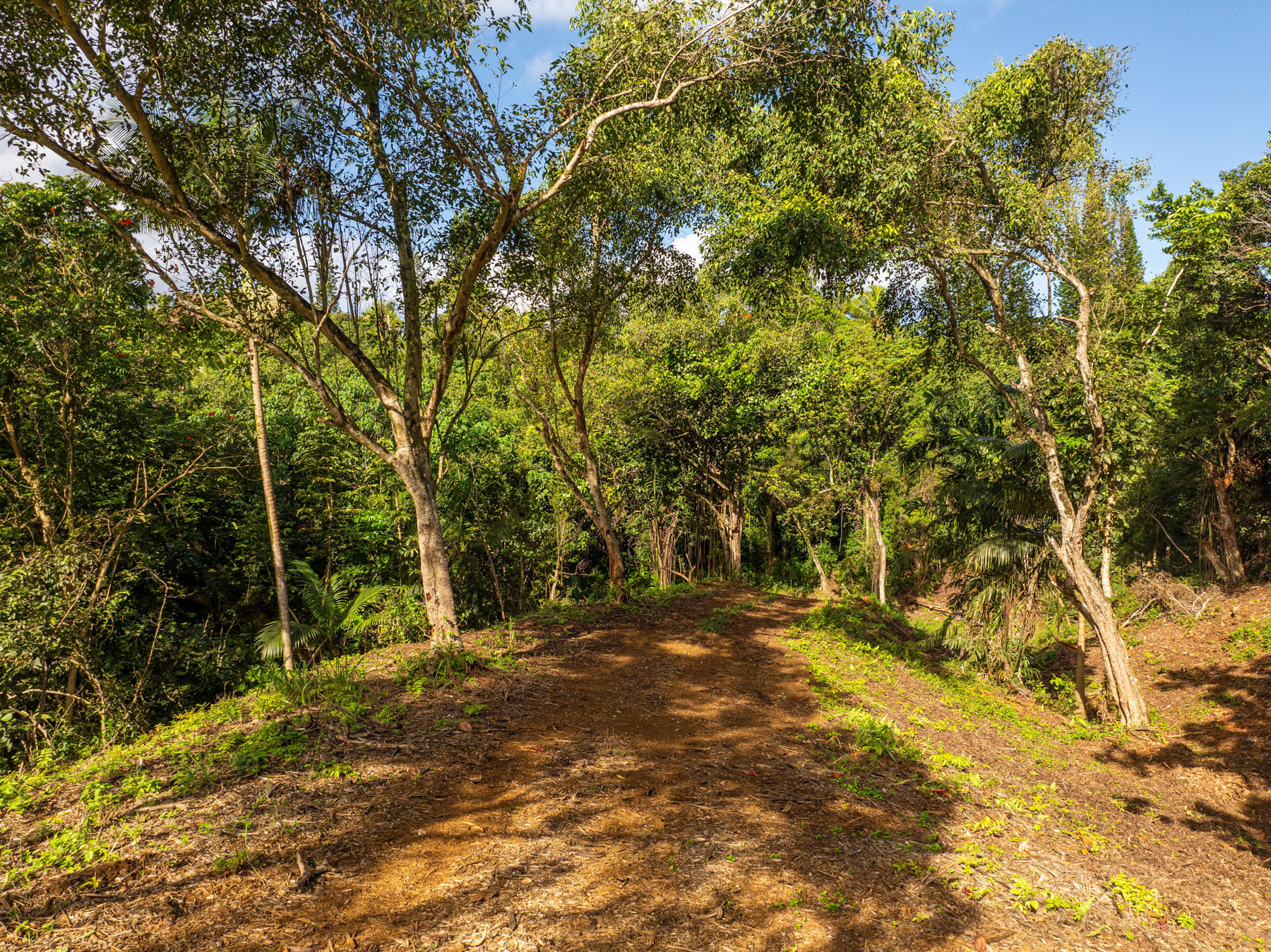 Property Photo: Kaui Rd HI 96722