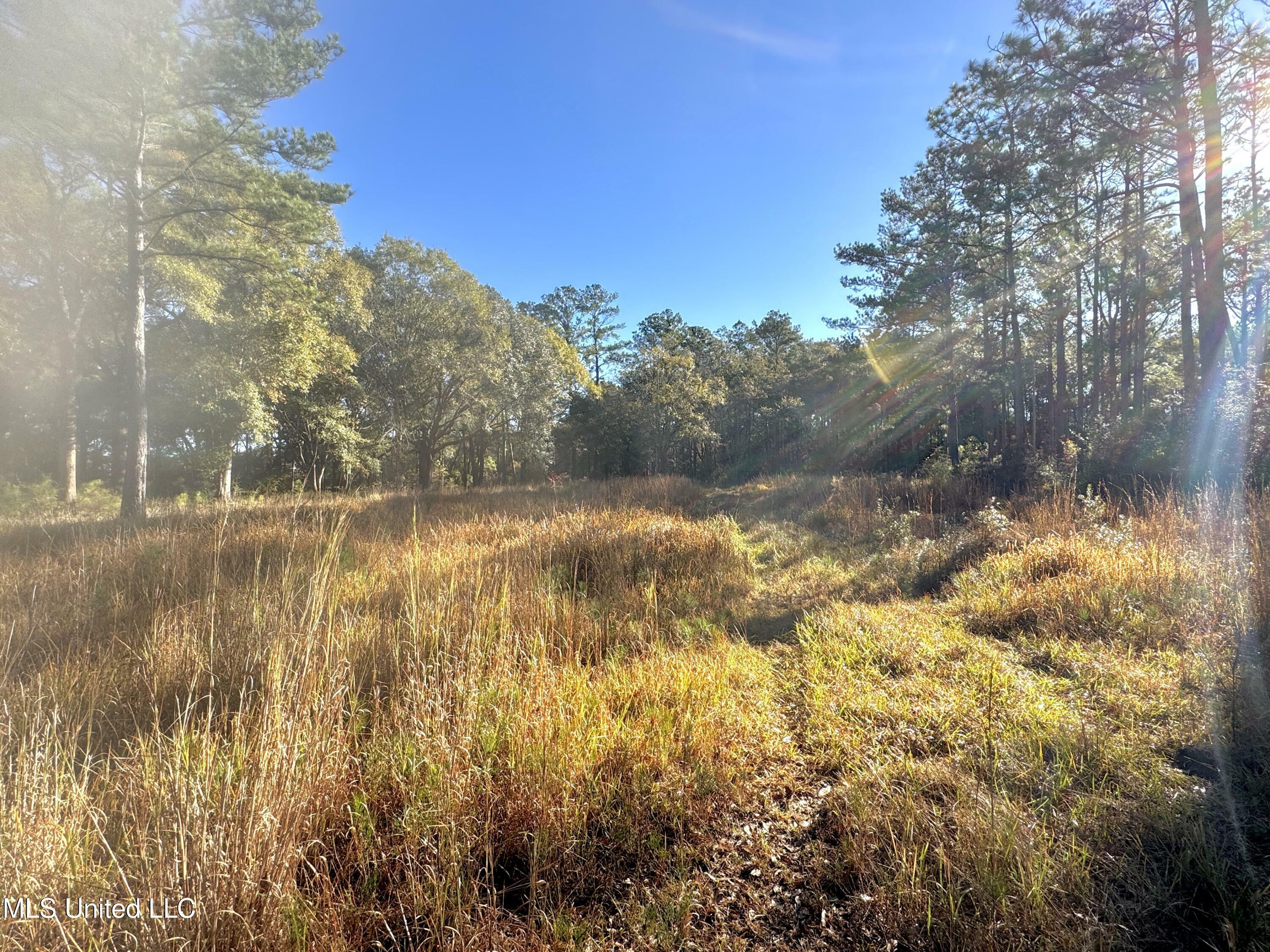 Property Photo:  18000 Rayford Shumock Road  MS 39562 