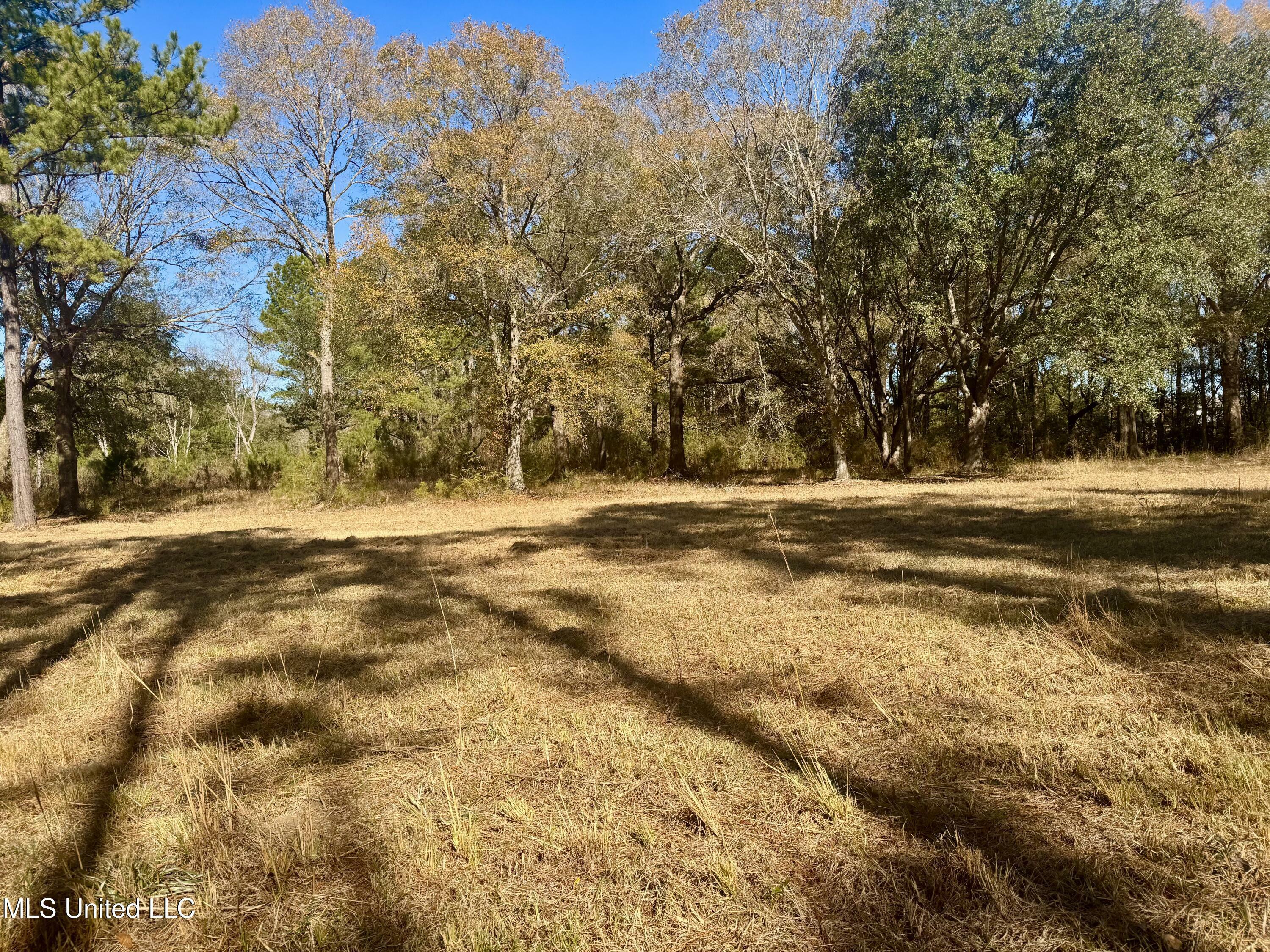 Property Photo:  18000 Rayford Shumock Road  MS 39562 