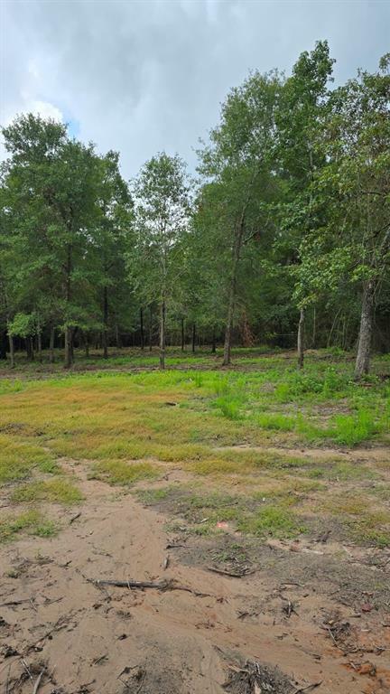 Property Photo:  19245 Lake Mount Pleasant Road  TX 77356 