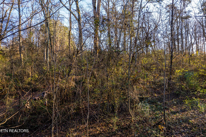 Property Photo: 535 Peterson Lane TN 37803
