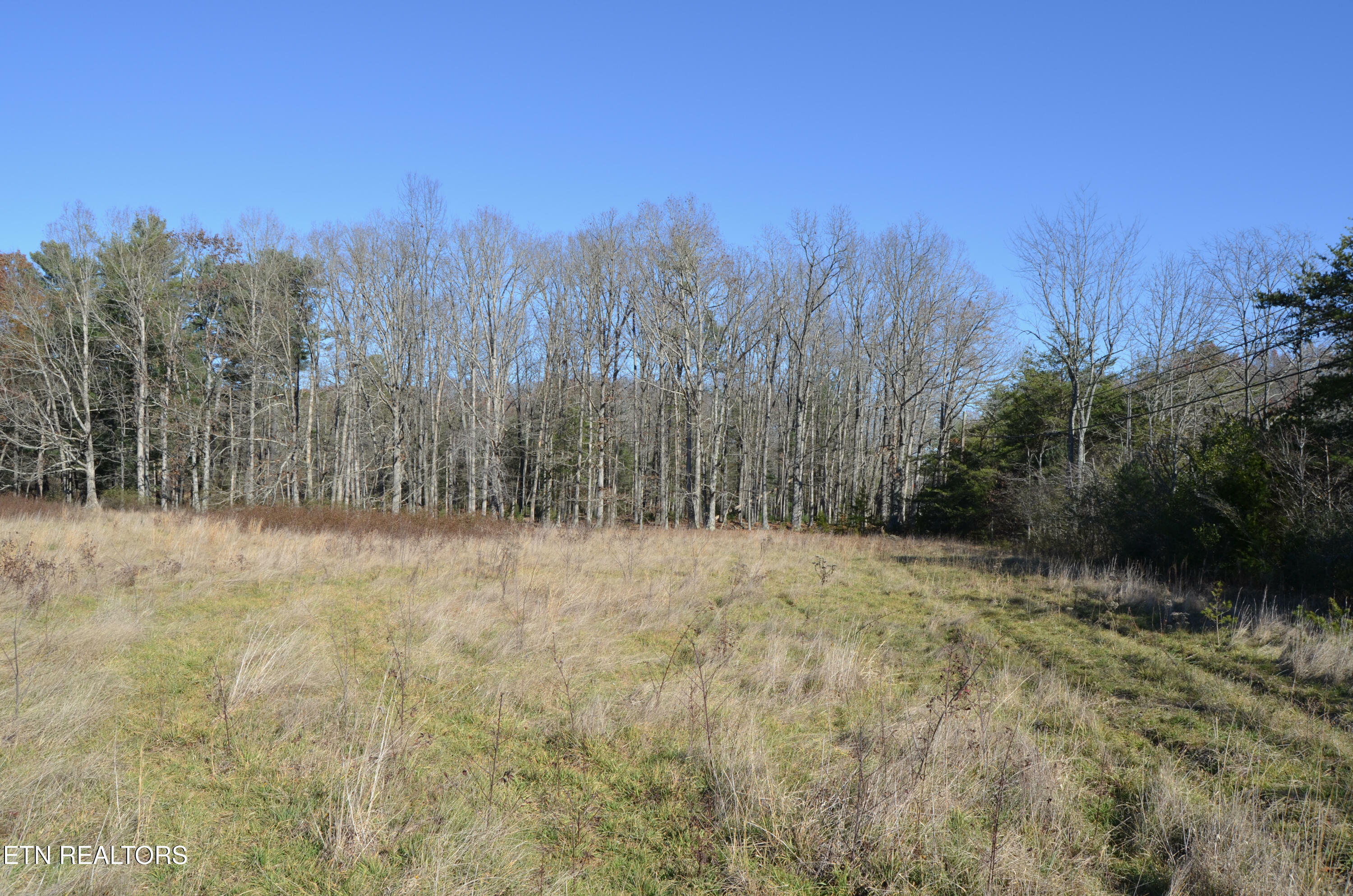 Property Photo:  Sparta Hwy 31.65 +/- Acres  TN 38555 