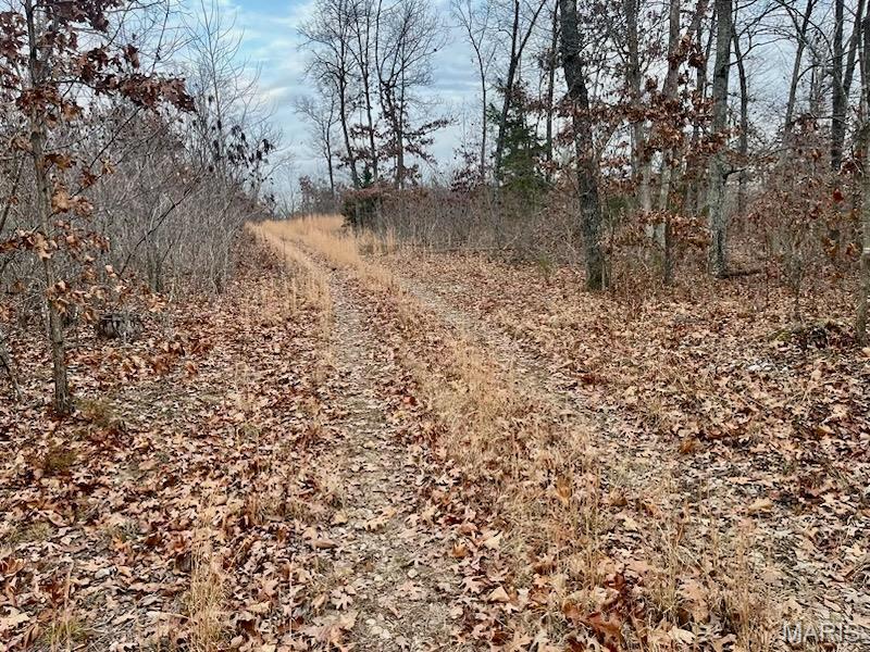 0 125.87 Ac Tract1-A Clear Creek Road  Richwoods MO 63071 photo
