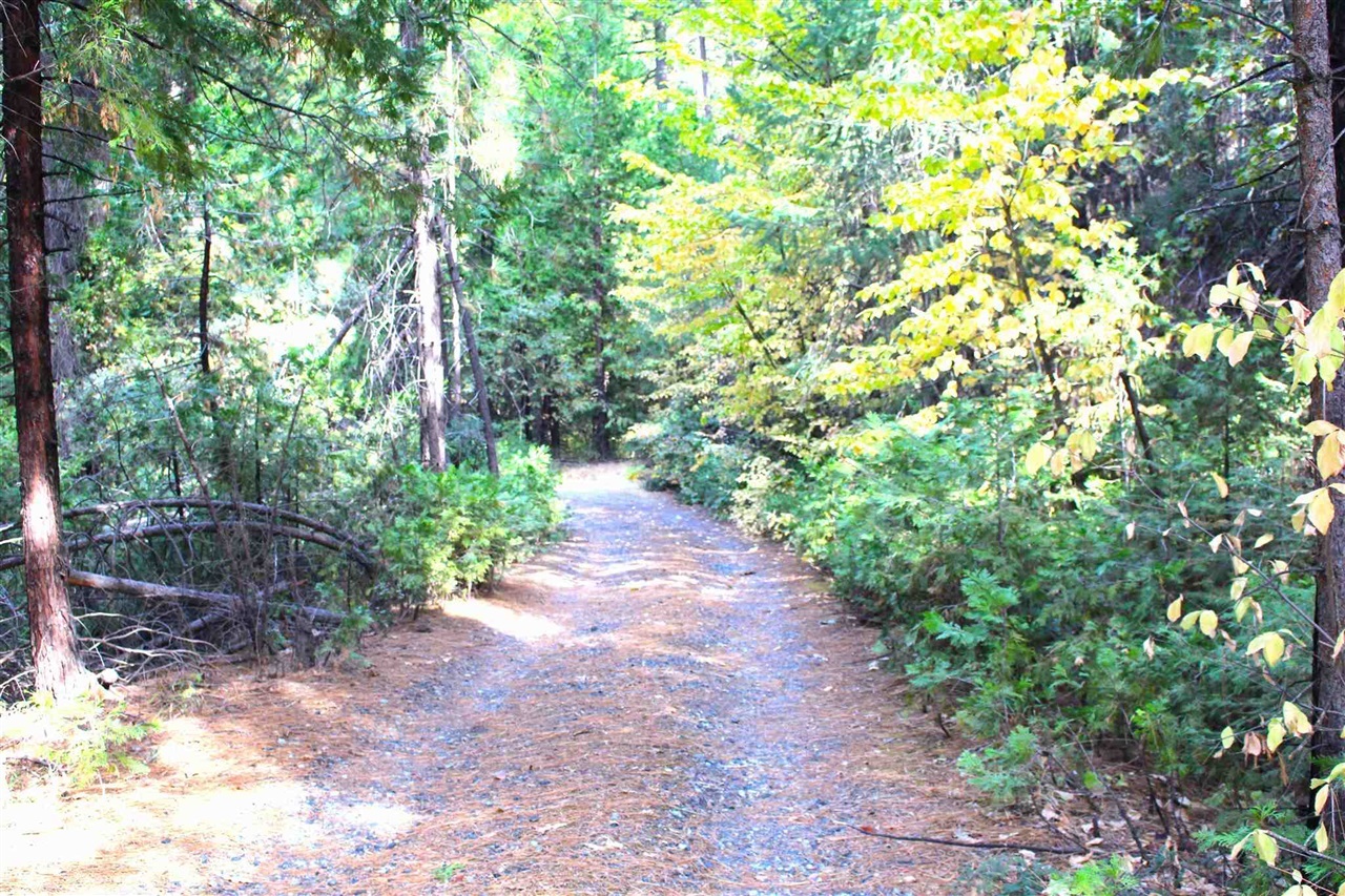 Property Photo:  24455 South Fork  CA 95383 