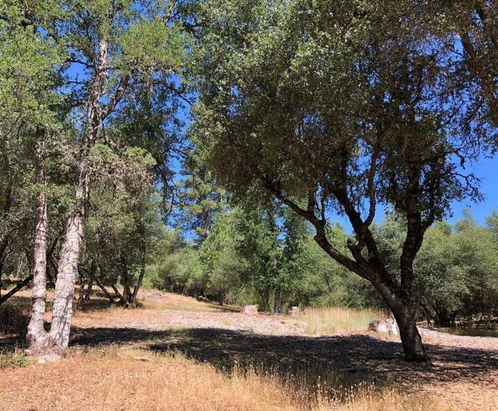 Property Photo: 21930 Lyons Bald Mountain CA 95370