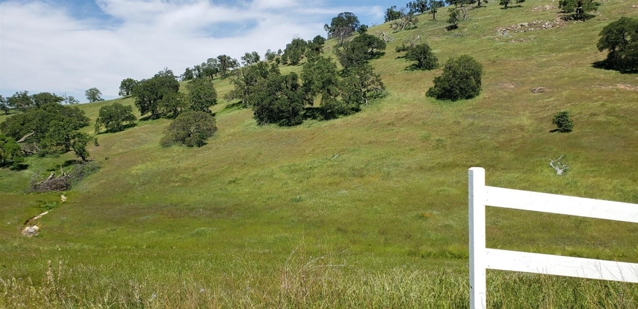 10074 Banderilla  La Grange CA 95329 photo