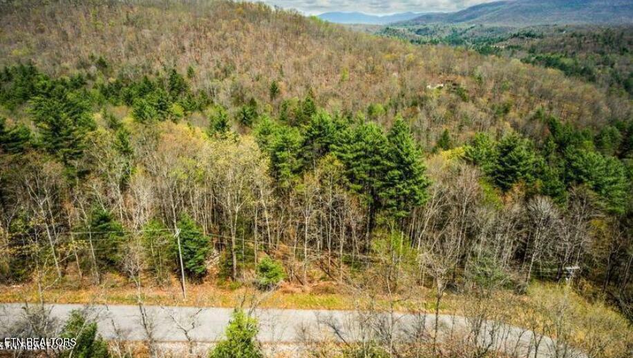 Property Photo:  Lot 38 Green Ridge Tr  TN 37748 