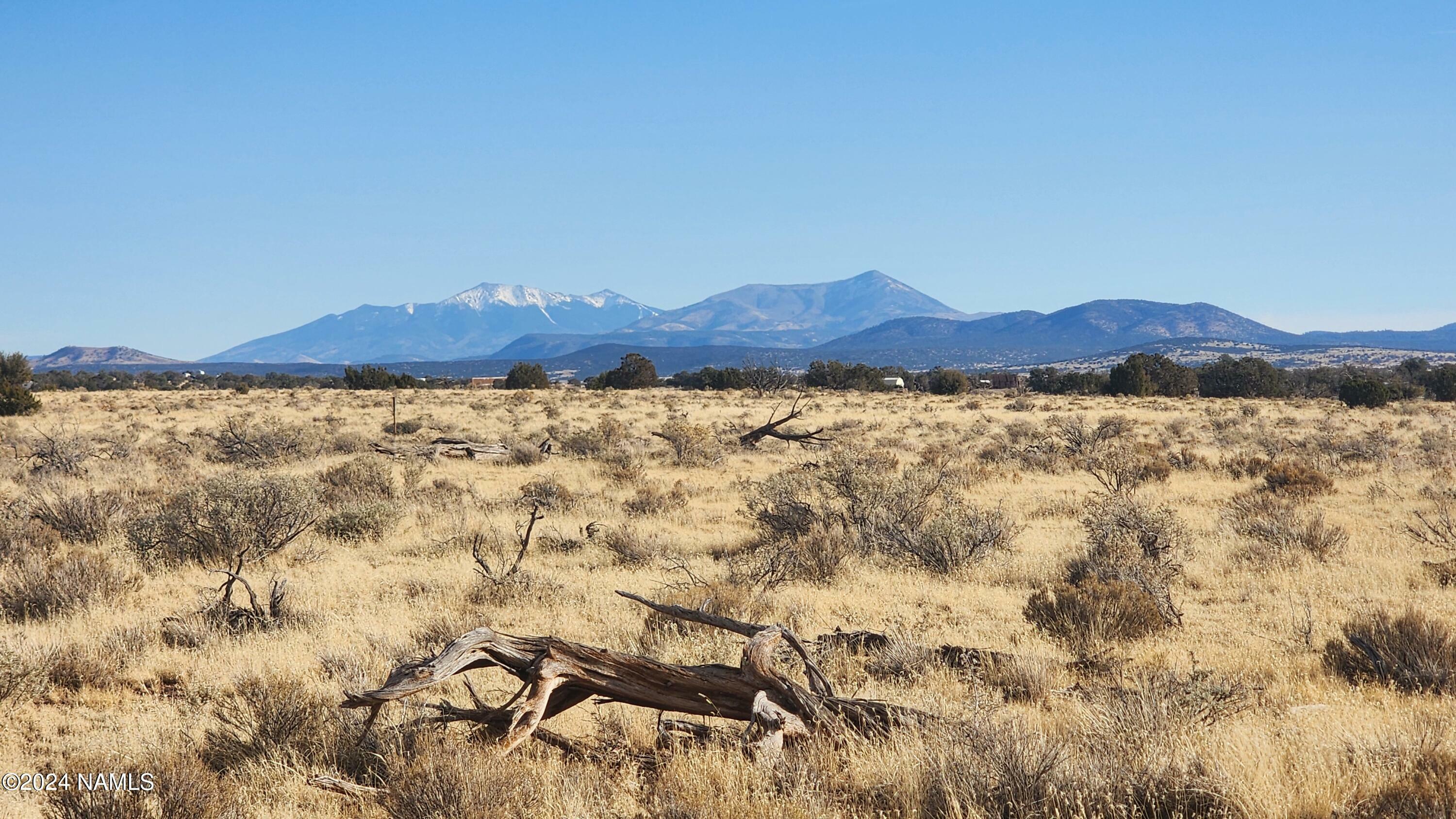 Property Photo:  3067 S Dartmouth Street  AZ 86046 