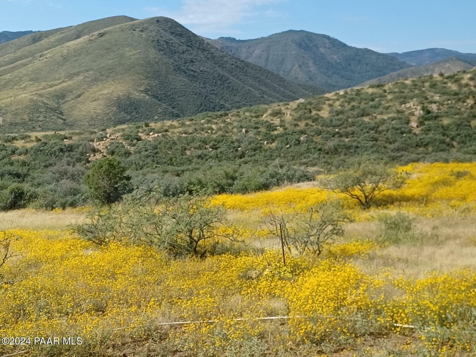 27 Acres Vaca Bonita Rd And Miners Pick Road  Dewey-Humboldt AZ 86329 photo