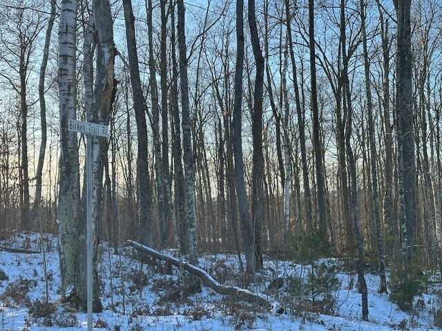 Property Photo: Lot 12 Birken Trail Road WI 54843