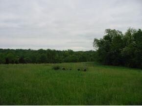 Property Photo:  8873 US 50  IN 47001 