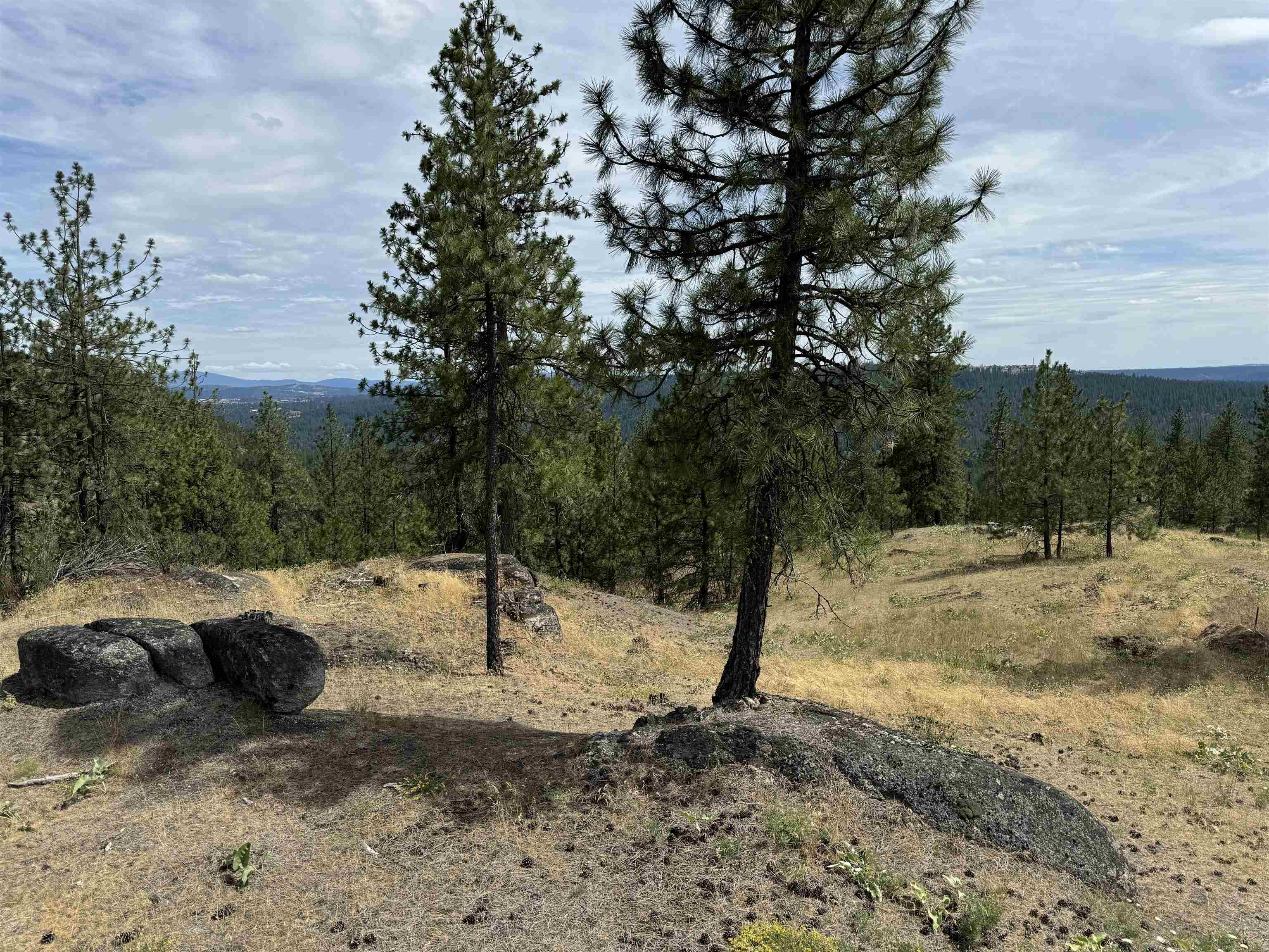 Property Photo:  14812 N Cliff Ln Site 130  WA 99208 