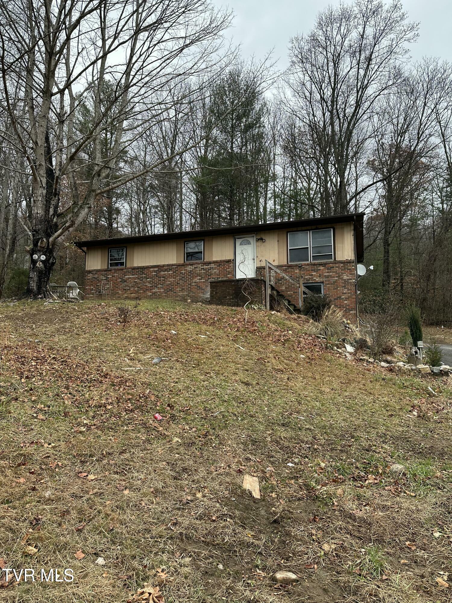 110 Patrick Henry Lane  Elizabethton TN 37643 photo