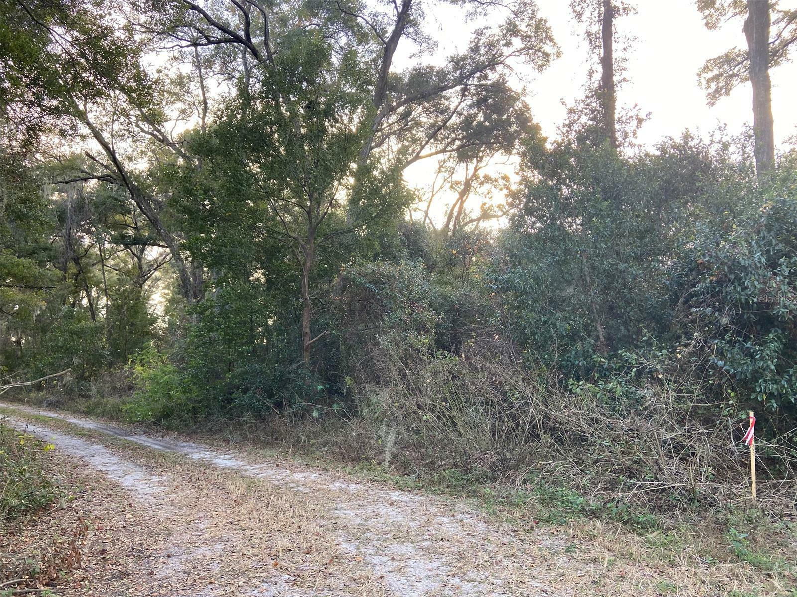 Property Photo:  SW 177th Court  FL 34432 