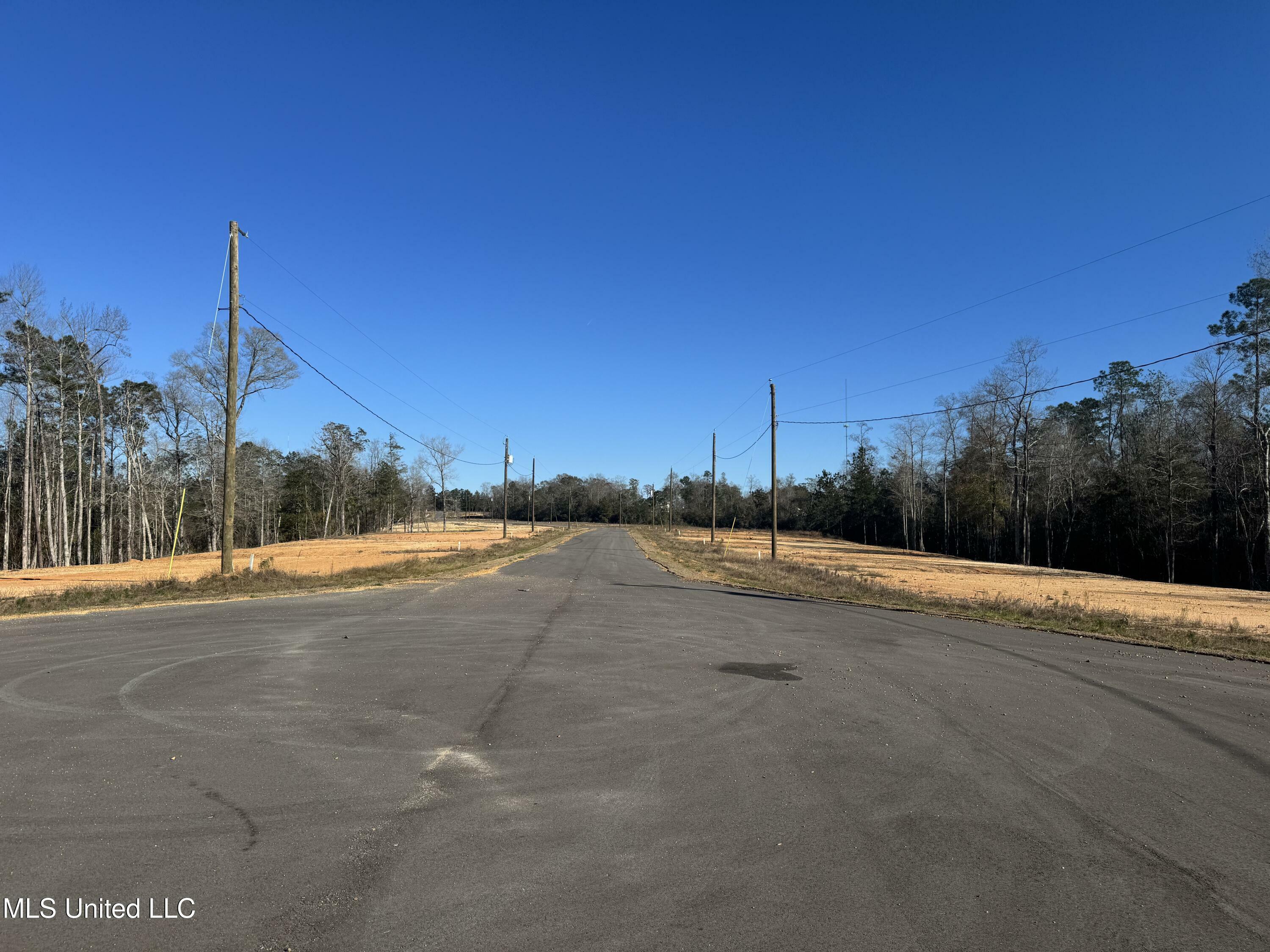 Property Photo:  Shadow Wood - Lot 3 Drive  MS 39573 