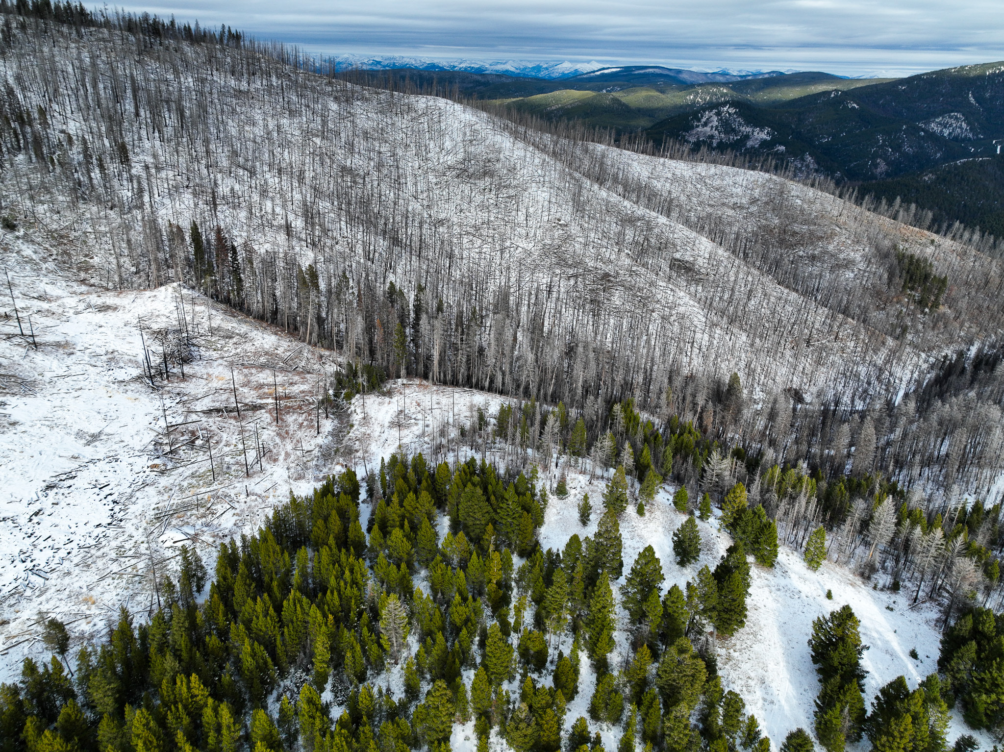 Property Photo:  Nhn (Grotto) Cave Gulch Road  MT 59832 