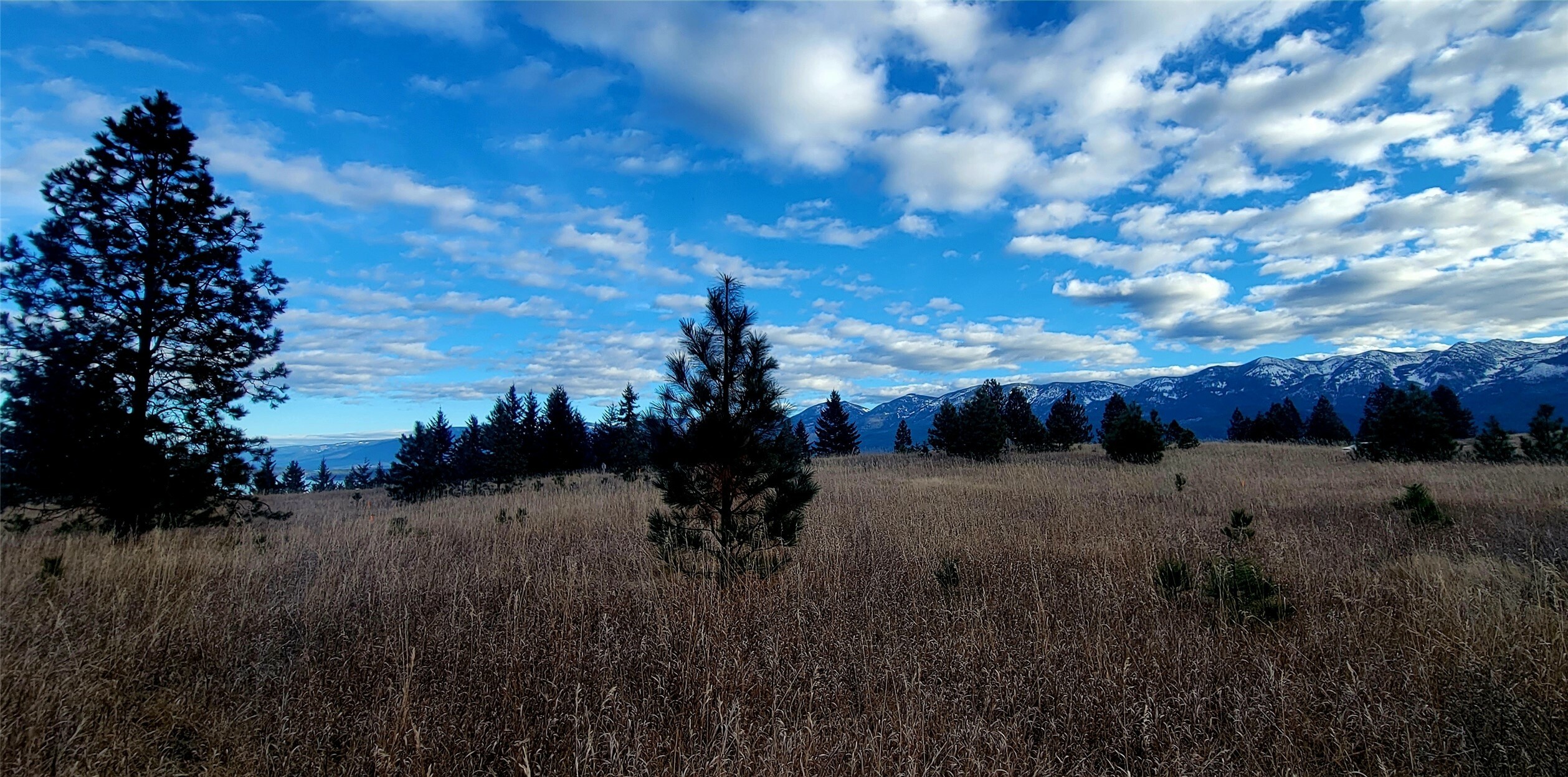 Property Photo:  Lot 37 & 38 Southlake Crest  MT 59860 