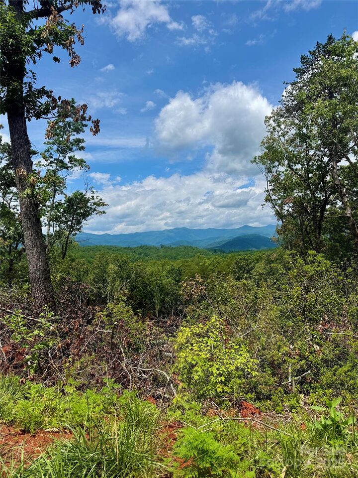 Property Photo: 200 Warren Ridge Drive 8 NC 28762