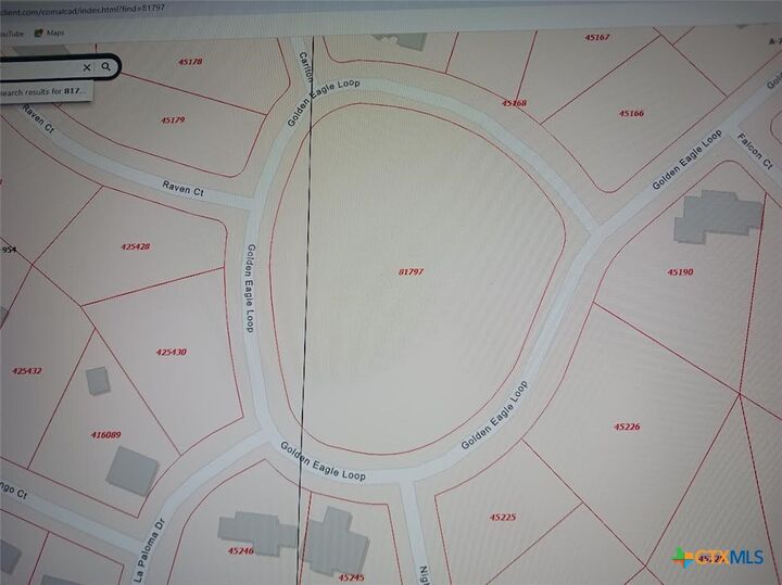 Property Photo:  520 Golden Eagle Loop  TX 78133 